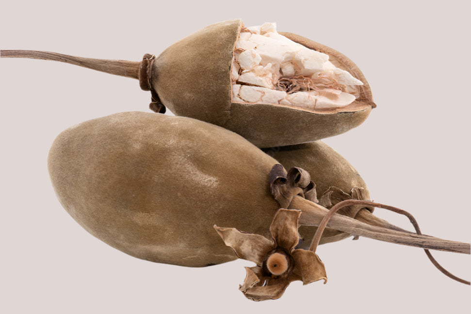 Baobab Fruit Powder
